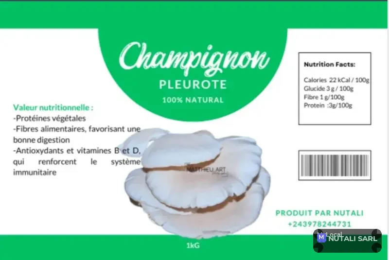 Champignons pleurotes 